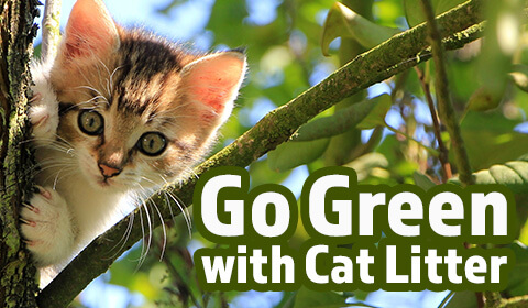 Going Green with Cat Litter