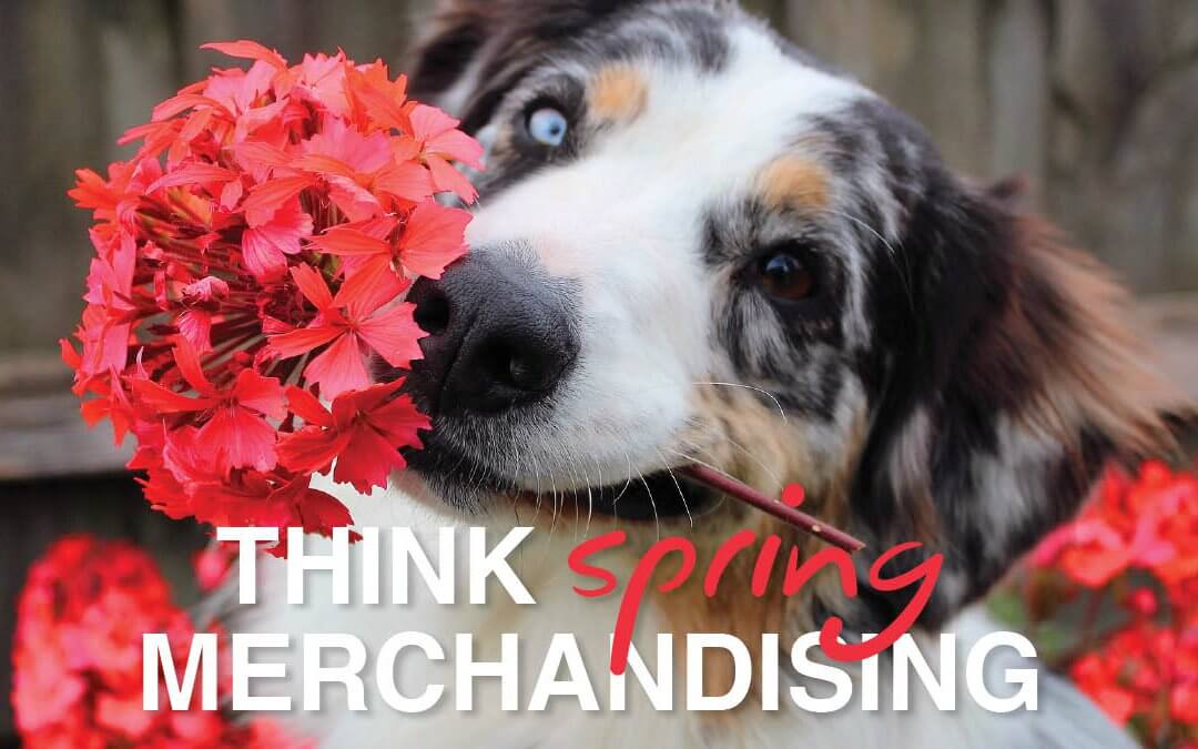 Time for Spring Merchandising