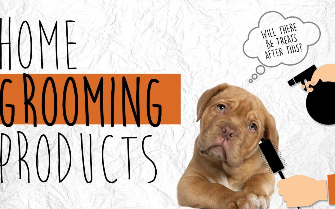 Home Grooming Tips & Tools