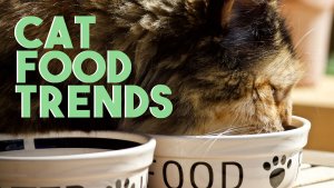What is new in cat food