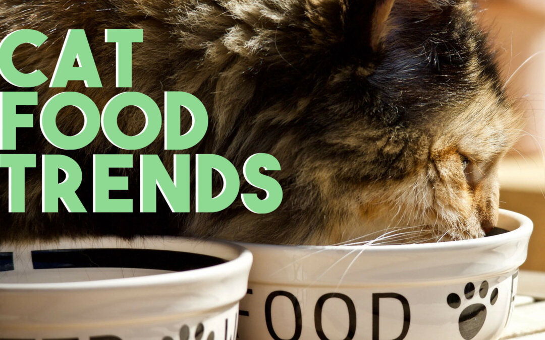 Cat Food Trends