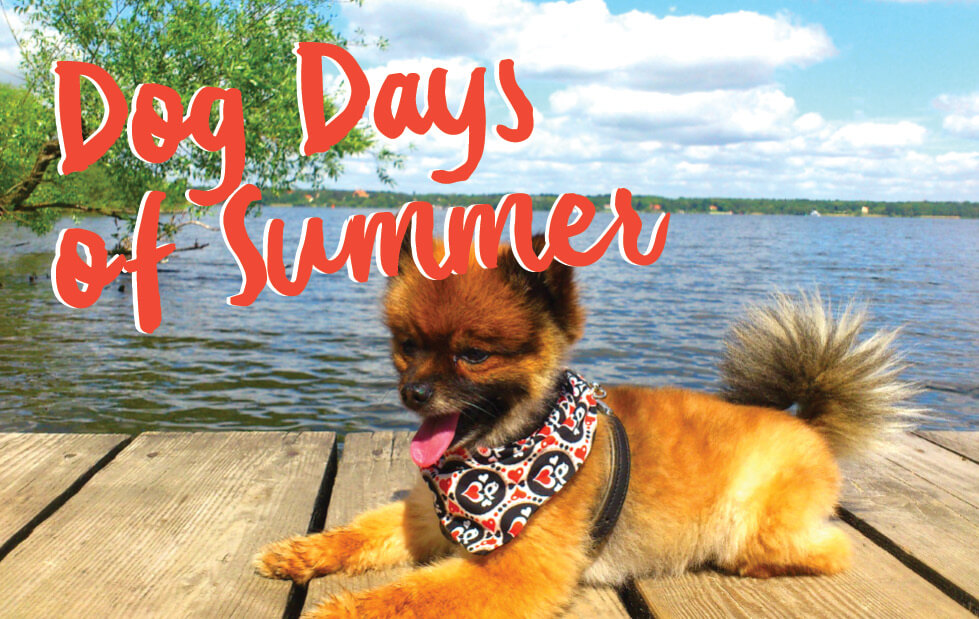 Summer Merchandising Heats Up