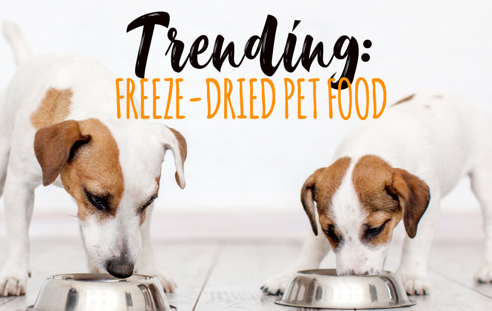 Trending: Freeze-Dried Pet Food