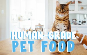human-grade food