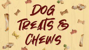 Read the blog on dog treats and chews