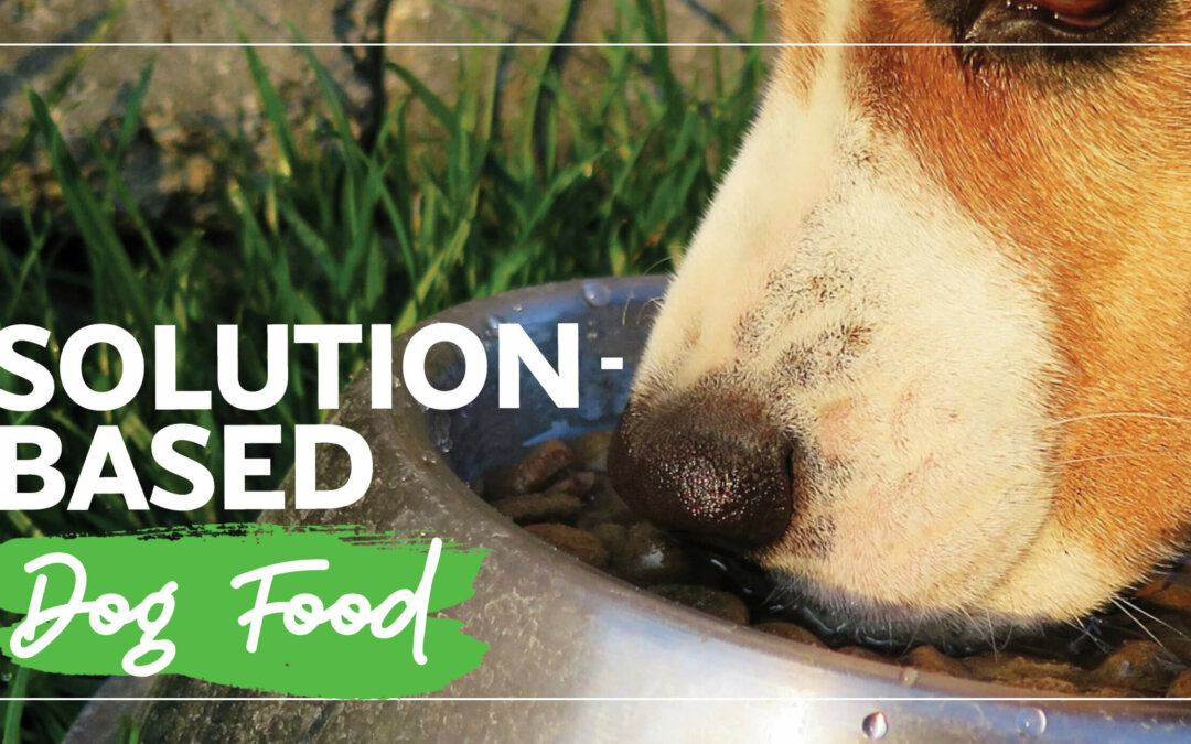 Solution-Based Dog Food