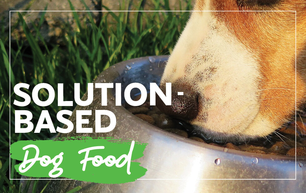 Solution-Based Dog Food