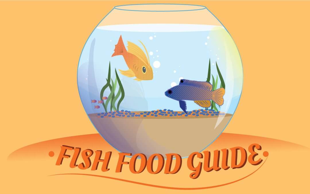 Fish Food Guide